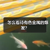 怎么看待有色金属的爆发？（图2）