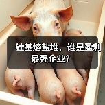 钍基熔盐堆，谁是盈利最强企业？（图1）