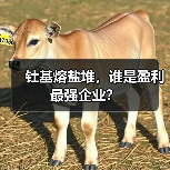 钍基熔盐堆，谁是盈利最强企业？（图2）