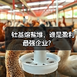 钍基熔盐堆，谁是盈利最强企业？（图3）