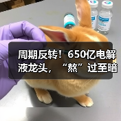 周期反转！650亿电解液龙头，“熬”过至暗时刻（图1）