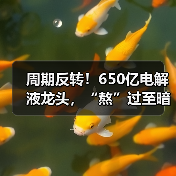 周期反转！650亿电解液龙头，“熬”过至暗时刻（图2）