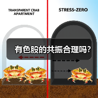 有色股的共振合理吗？（图4）