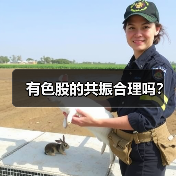 有色金属周期分化:供需约束与景气行情如何驱动行情演变? 有色金属周期分化:供需约束与景气行情如何驱动行情演变?