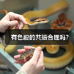 有色股的共振合理吗？（图2）