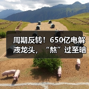 周期反转！650亿电解液龙头，“熬”过至暗时刻（图3）