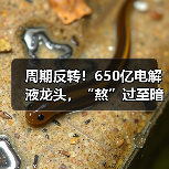 周期反转！650亿电解液龙头，“熬”过至暗时刻（图4）