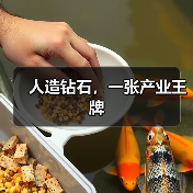 人造钻石，一张产业王牌（图2）