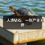人造钻石，一张产业王牌（图1）