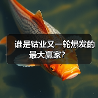 谁是钴业又一轮爆发的最大赢家？（图2）