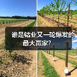 谁是钴业又一轮爆发的最大赢家？（图1）