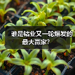 谁是钴业又一轮爆发的最大赢家？（图4）