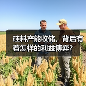 硅料产能收储，背后有着怎样的利益博弈？（图4）
