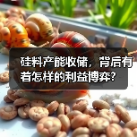 硅料产能收储，背后有着怎样的利益博弈？（图2）