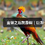金银之后就是铜|巨潮(图2) 金银之后就是铜|巨潮(图2)