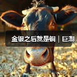 金银之后就是铜|巨潮(图3) 金银之后就是铜|巨潮(图3)