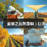 金银之后就是铜|巨潮(图4) 金银之后就是铜|巨潮(图4)