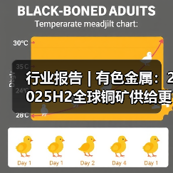 行业报告 | 有色金属:2025H2全球铜矿供给更为紧俏(图4) 行业报告 | 有色金属:2025H2全球铜矿供给更为紧俏(图4)