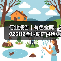 行业报告 | 有色金属:2025H2全球铜矿供给更为紧俏(图3) 行业报告 | 有色金属:2025H2全球铜矿供给更为紧俏(图3)