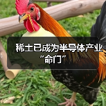 稀土已成为半导体产业“命门”(图4) 稀土已成为半导体产业“命门”(图4)