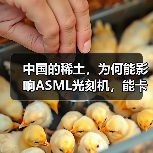 中国的稀土,为何能影响ASML光刻机,能卡住全球的芯片产业脖子?(图2) 中国的稀土,为何能影响ASML光刻机,能卡住全球的芯片产业脖子?(图2)