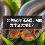 比黄金涨得还猛，钴价为什么大爆发？（图1）