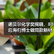 诺贝尔化学奖揭晓，80后海归博士做同款新材料：融资千万，打破巨头垄断（图2）