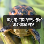 东方雨虹国内带头涨价,海外高价扫货(图4) 东方雨虹国内带头涨价,海外高价扫货(图4)