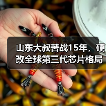 山东大叔苦战15年,硬改全球第三代芯片格局(图3) 山东大叔苦战15年,硬改全球第三代芯片格局(图3)