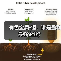 有色金属·镍，谁是盈利最强企业？（图2）