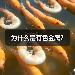 为什么是有色金属？（图2）