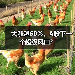 大涨超60%,A股下一个超级风口?(图1) 大涨超60%,A股下一个超级风口?(图1)