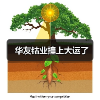 华友钴业撞上大运了(图1) 华友钴业撞上大运了(图1)