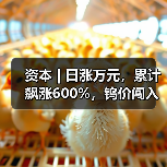 资本 | 日涨万元,累计飙涨600%,钨价闯入历史“无人区”(图3) 资本 | 日涨万元,累计飙涨600%,钨价闯入历史“无人区”(图3)