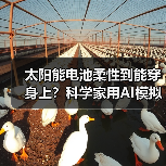 太阳能电池柔性到能穿身上？科学家用AI模拟出科幻太阳能材料（图3）