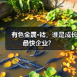 有色金属·钴，谁是成长最快企业？（图2）