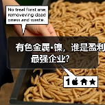 有色金属·镍，谁是盈利最强企业？（图4）