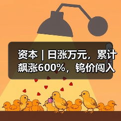 资本 | 日涨万元,累计飙涨600%,钨价闯入历史“无人区”(图1) 资本 | 日涨万元,累计飙涨600%,钨价闯入历史“无人区”(图1)