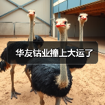 华友钴业撞上大运了(图2) 华友钴业撞上大运了(图2)