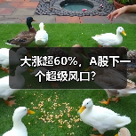 大涨超60%,A股下一个超级风口?(图4) 大涨超60%,A股下一个超级风口?(图4)