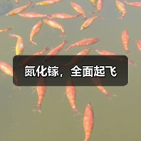 氮化镓,全面起飞(图2) 氮化镓,全面起飞(图2)