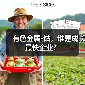 有色金属·钴，谁是成长最快企业？（图4）