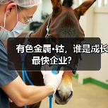 有色金属·钴，谁是成长最快企业？（图3）
