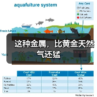 这种金属,比黄金天然气还猛(图3) 这种金属,比黄金天然气还猛(图3)