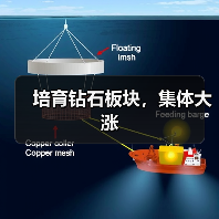 培育钻石板块,集体大涨(图4) 培育钻石板块,集体大涨(图4)
