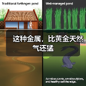 这种金属,比黄金天然气还猛(图2) 这种金属,比黄金天然气还猛(图2)