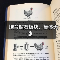 培育钻石板块,集体大涨(图2) 培育钻石板块,集体大涨(图2)