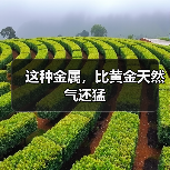这种金属,比黄金天然气还猛(图4) 这种金属,比黄金天然气还猛(图4)