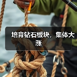 培育钻石板块,集体大涨(图1) 培育钻石板块,集体大涨(图1)