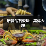 培育钻石板块,集体大涨(图3) 培育钻石板块,集体大涨(图3)